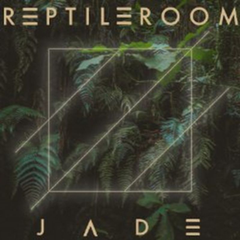 Electro-Pop Trio Reptile Room Shares Colorful CONTROL Video With Medium Image