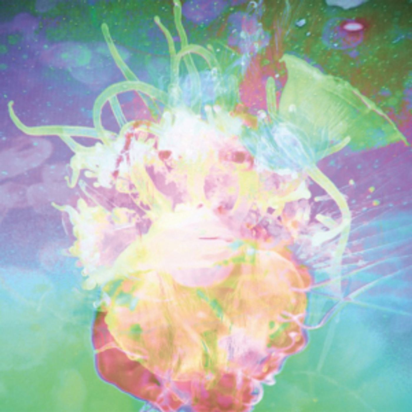 Katie Dey Releases Video For DISSOLVING Katie Dey Releases Video For DISSOLVING Image