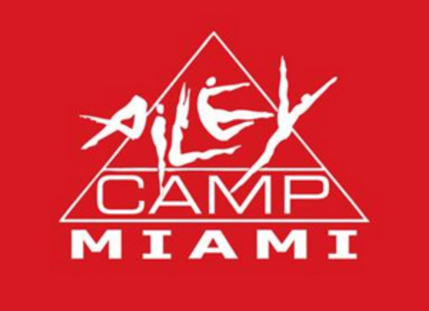 Arsht Center's AileyCamp Miami Returns for 11th Season  Image