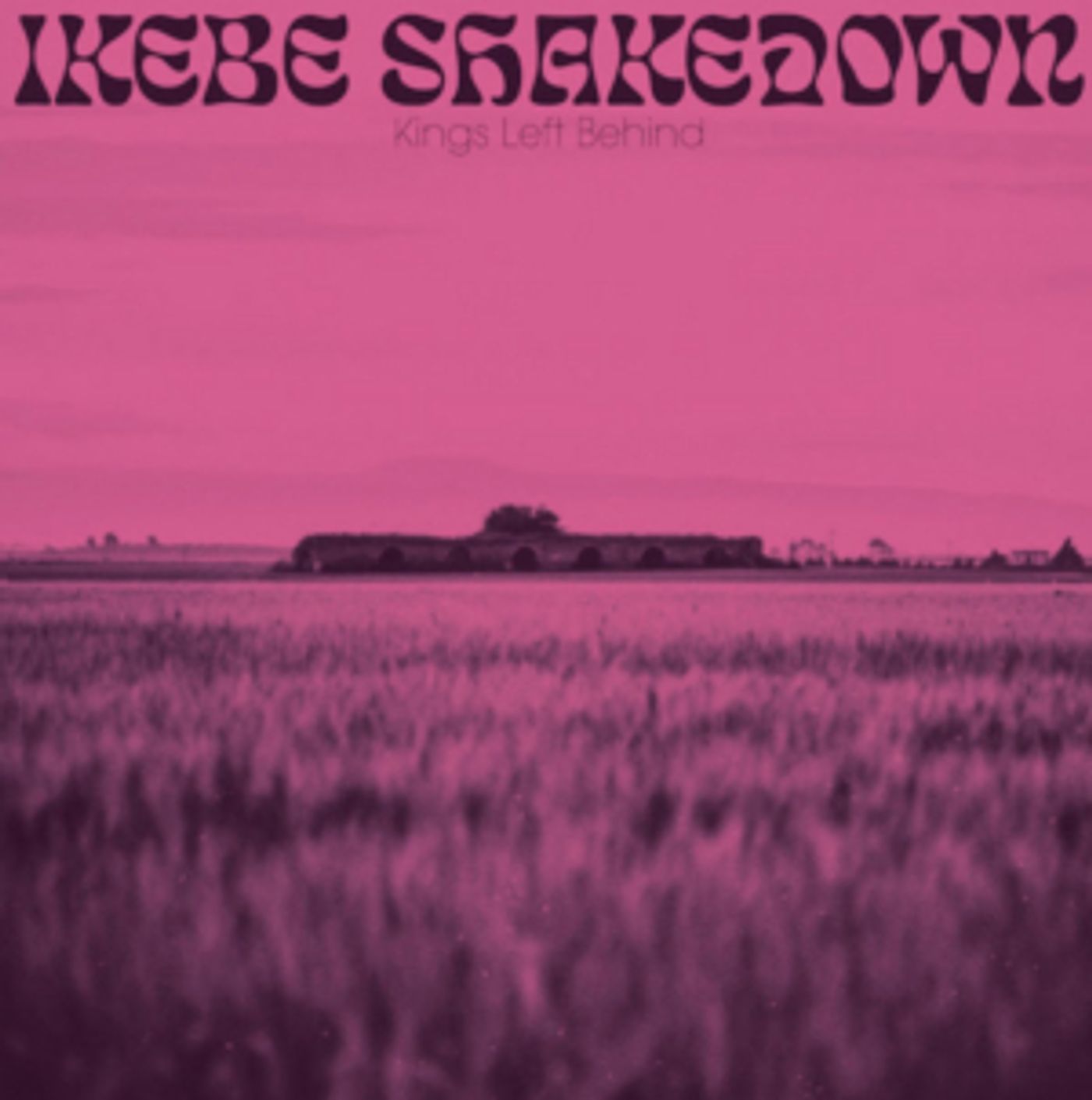 New LP From Ikebe Shakedown To Release 8/16 New LP From Ikebe Shakedown To Release 8/16 Image