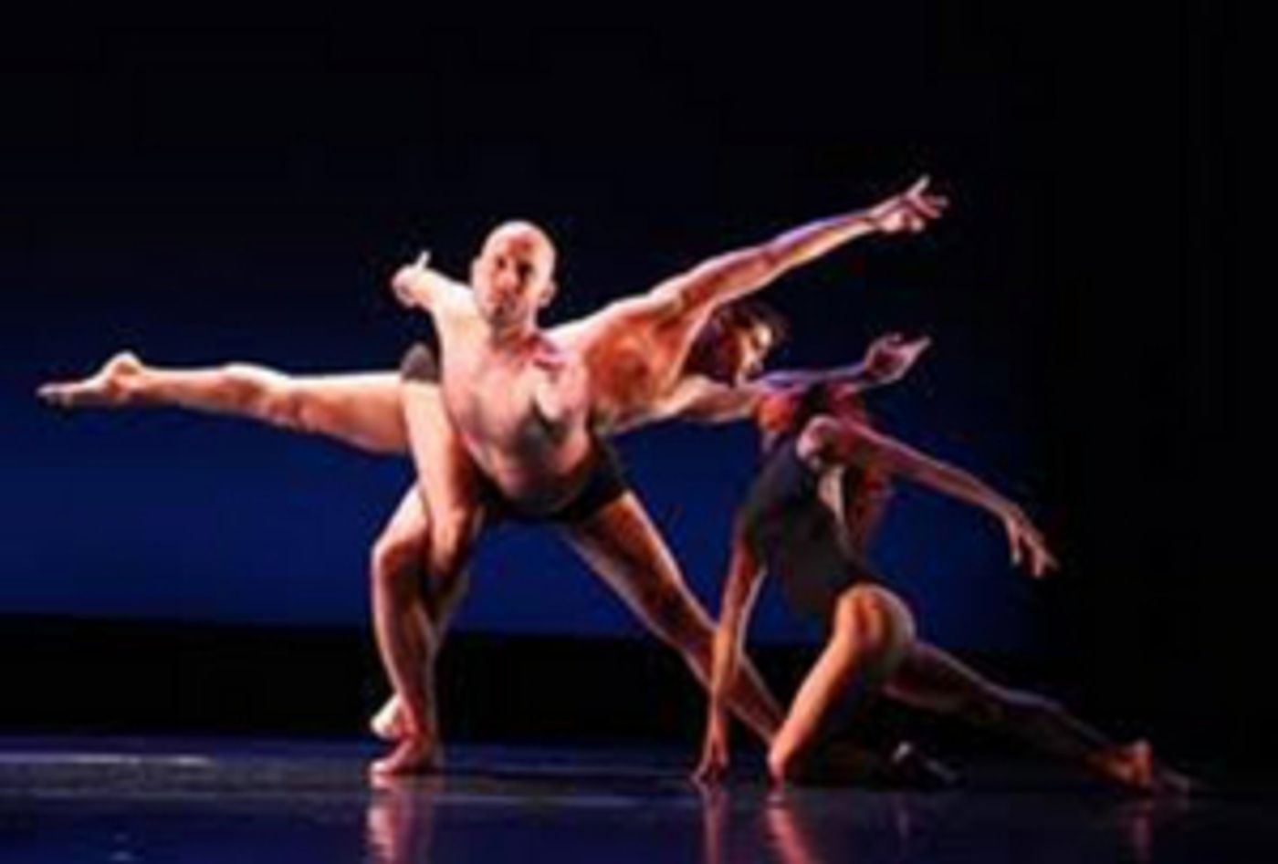 Dancers For Good's Fourth Annual Benefit In East Hampton Raised Funds To Benefit The Actors Fund  Image