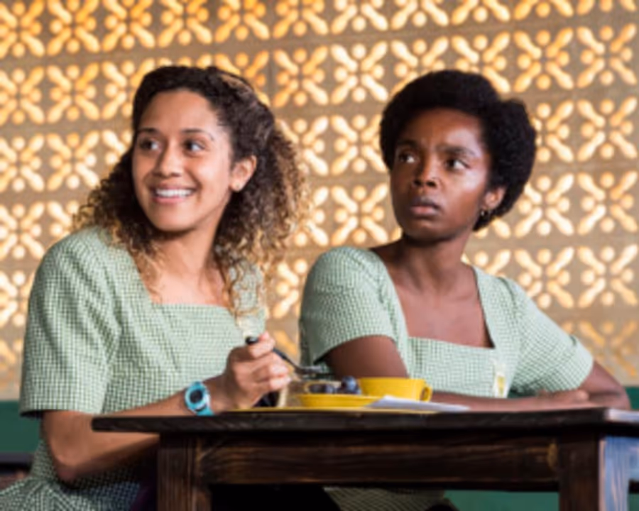 Theater Close-Up Presents Broadcast Premieres of SCHOOL GIRLS, ON THE EXHALE, UNCLE VANYA Image