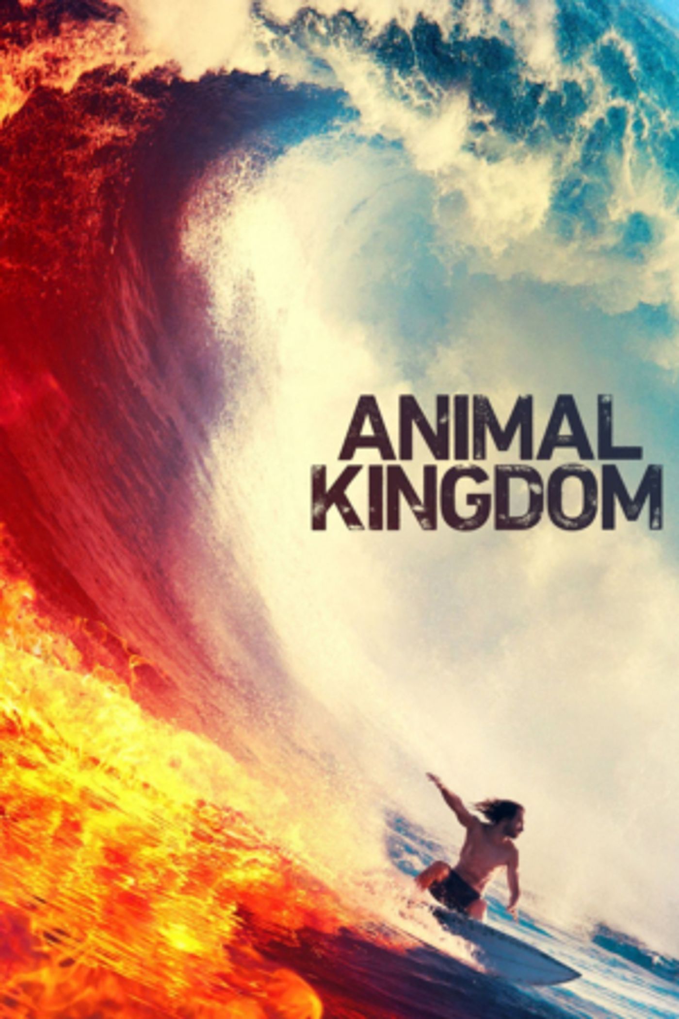 TNT Renews ANIMAL KINGDOM for Season Five TNT Renews ANIMAL KINGDOM for Season Five Image