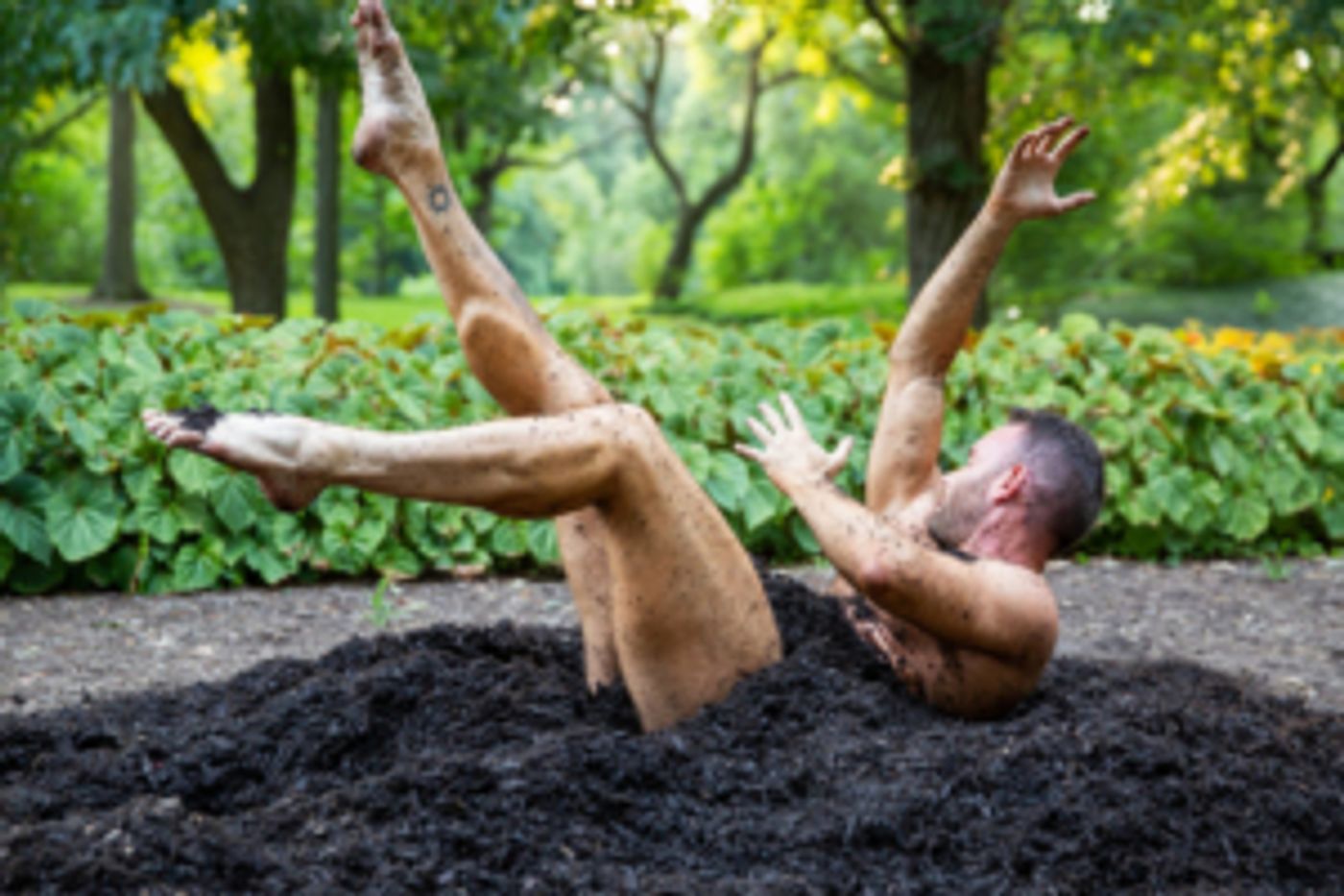 Review: ERYC TAYLOR DANCE'S Immersive EARTH Breaks New Ground at Brooklyn Botanic Gardens  Image