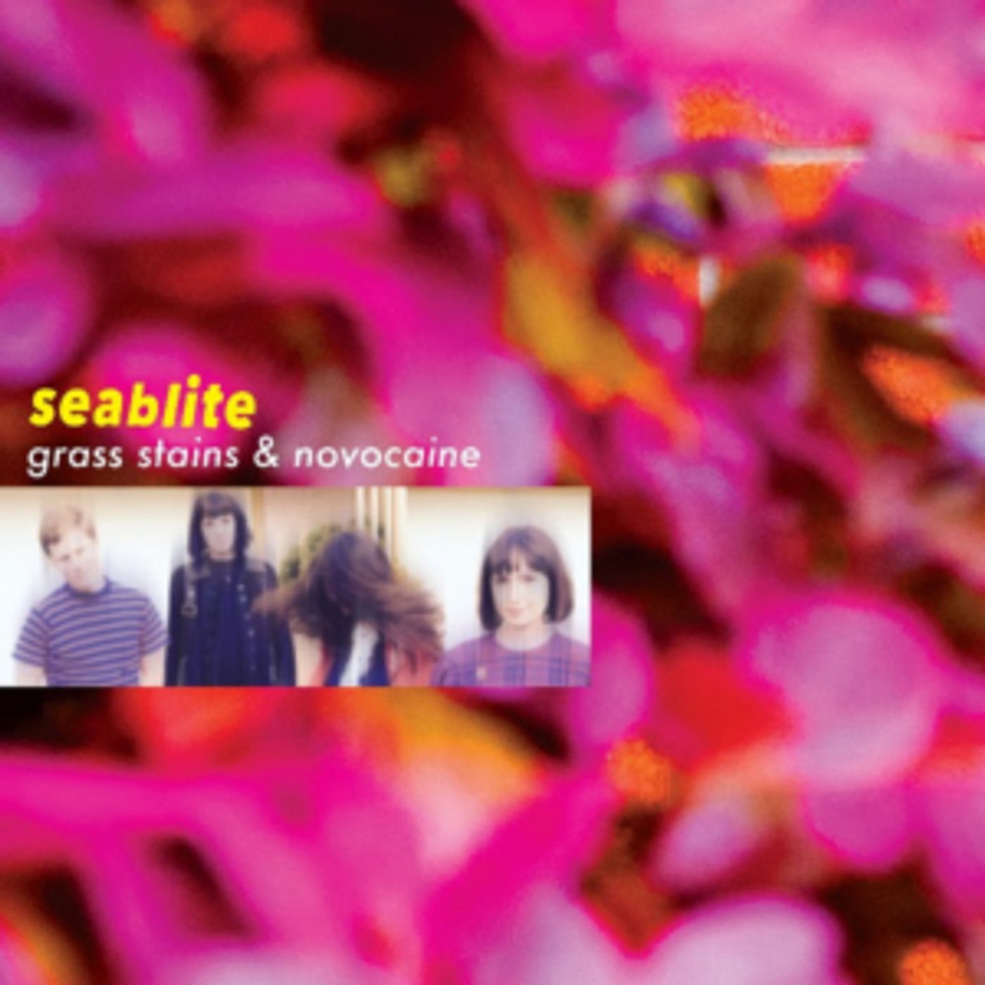 Seablite Debut New Video PILLBOX  Image