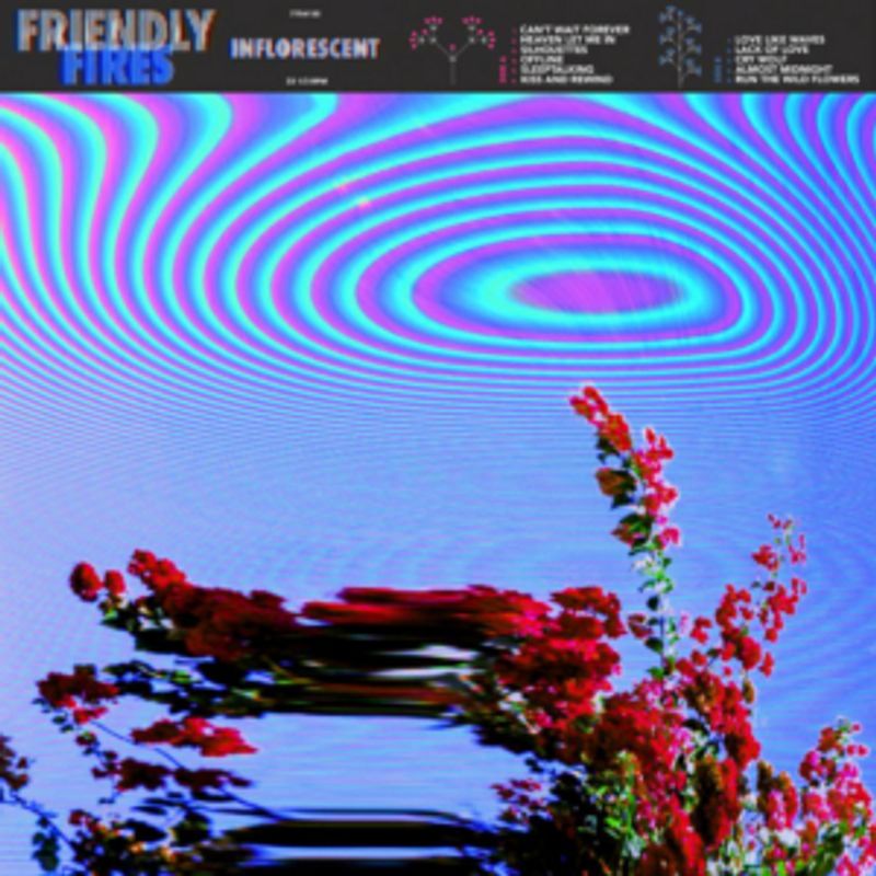 Friendly Fires Announce New Single RUN THE WILD FLOWERS Image