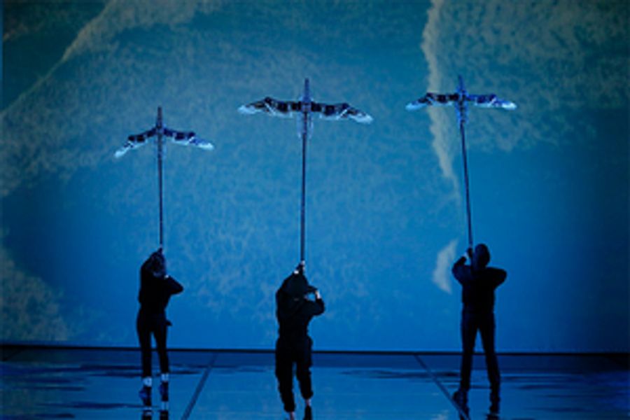 Storm Boy: The Avengers Film of Australian Visual Theatre, says Queensland Theatre's Artistic Director Sam Strong  Image