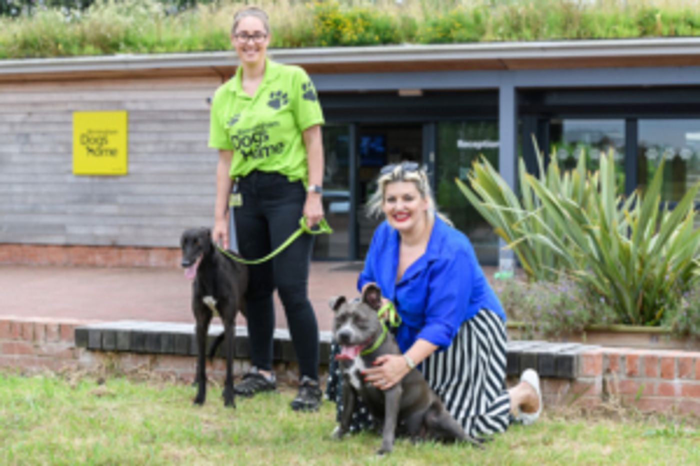 Jodie Prenger Visits Birmingham Dog's Home Jodie Prenger Visits Birmingham Dog's Home Image