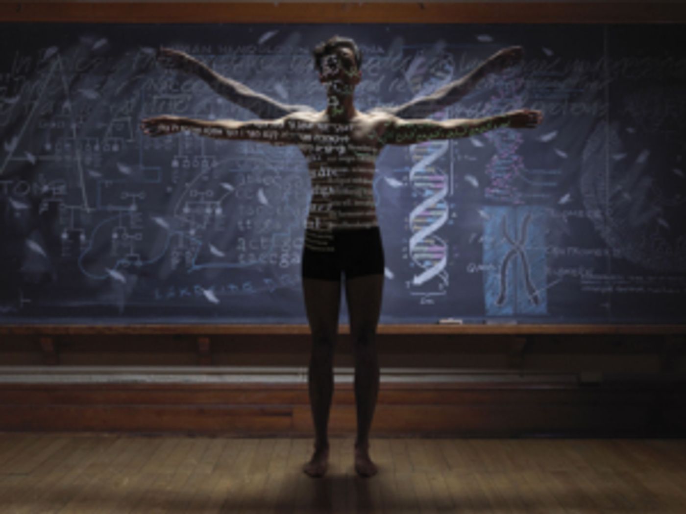 BIRDS OF A KIND Enters Previews Ahead Of August Premiere  Image