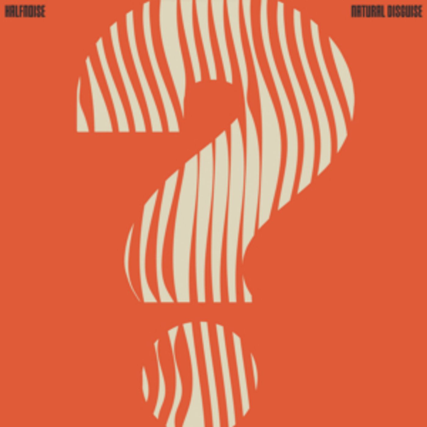 Zac Farro Announces Halfnoise LP NATURAL DISGUISE  Image