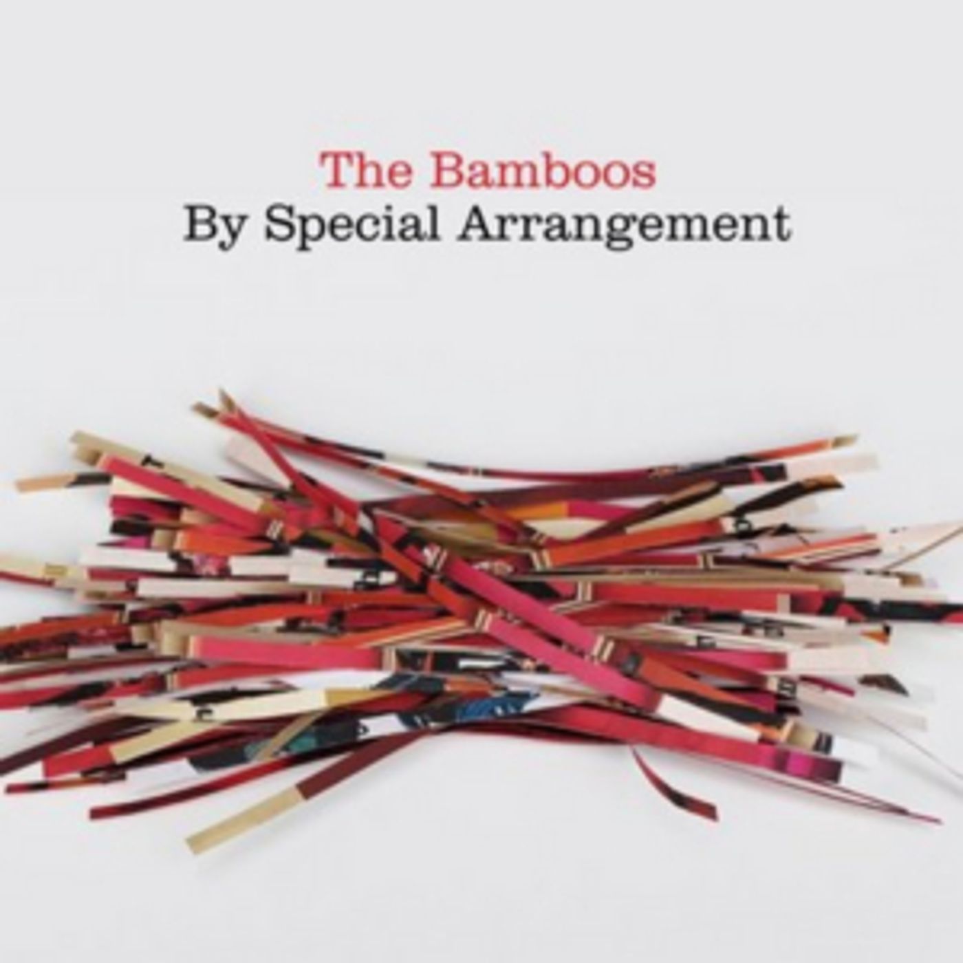 The Bamboos Release New Orchestral Album, BY SPECIAL ARRANGEMENT, via BMG  Image