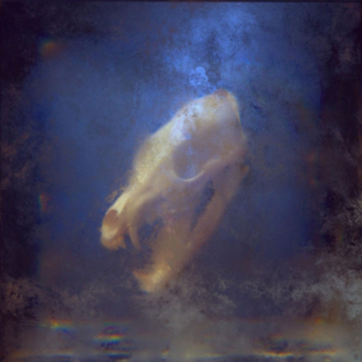 KAYZO Announces New Album UNLEASHED  Image