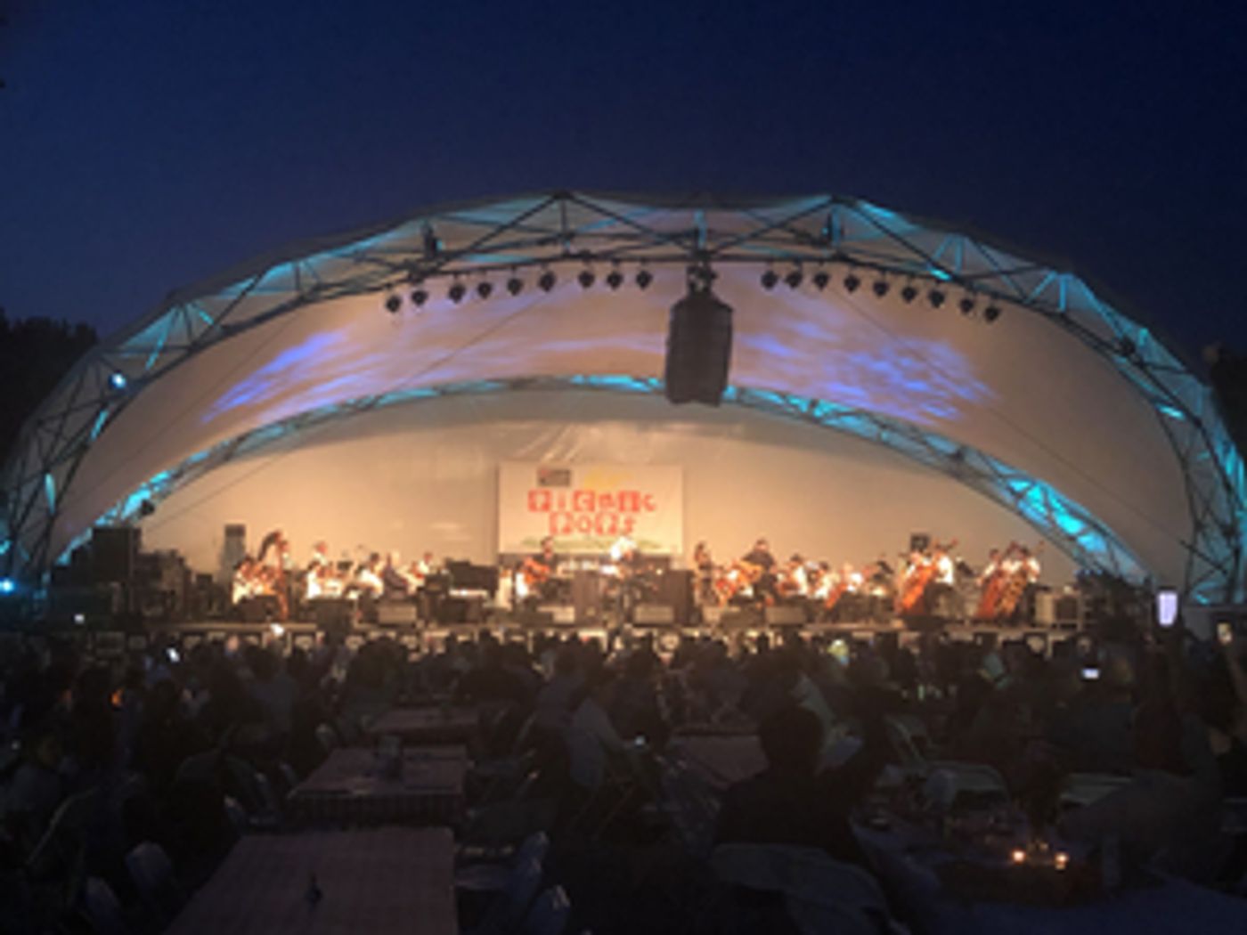 Review: NASHVILLE: STARRING MUSIC CITY HIT-MAKERS Along With Grand Rapids Symphony, Present Song Writers Playing Some of Their Greatest Country Hits!  Image