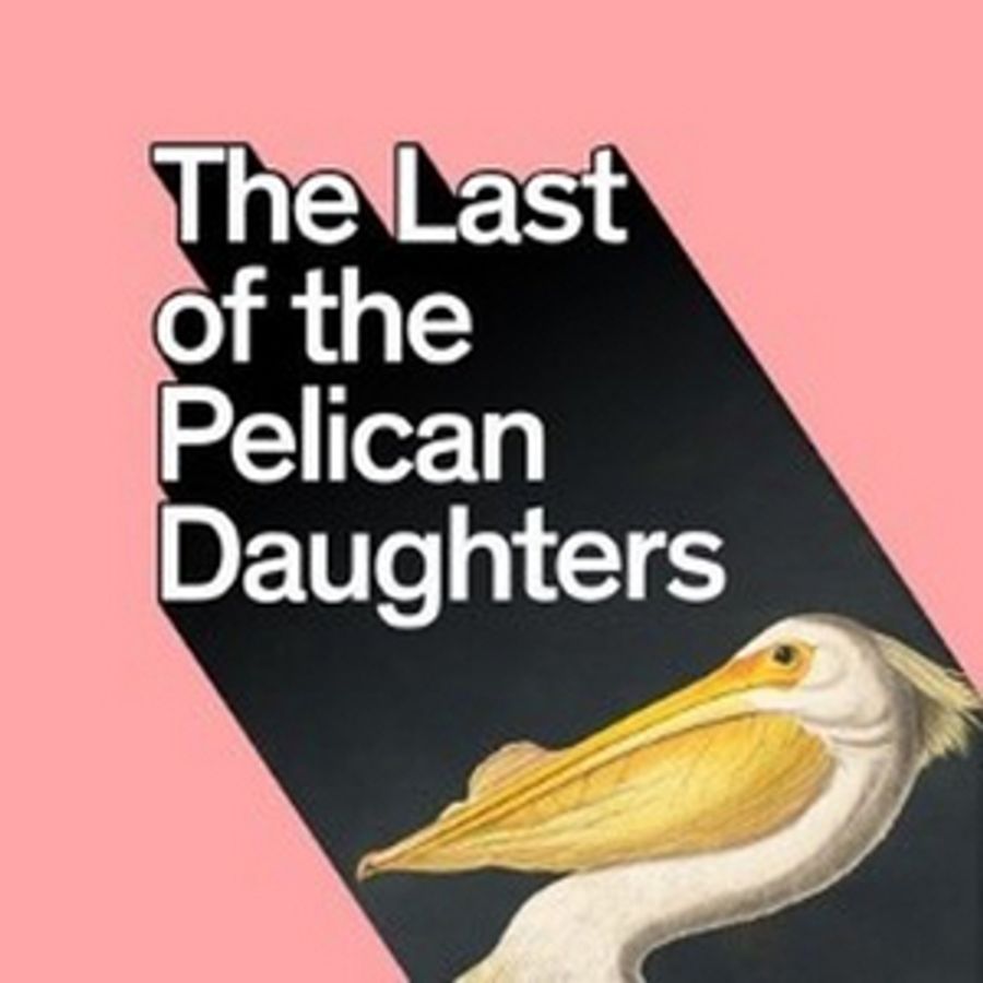 EDINBURGH 2019: Review: THE LAST OF THE PELICAN DAUGHTERS, THE WARDROBE ENSEMBLE, Pleasance Courtyard Image