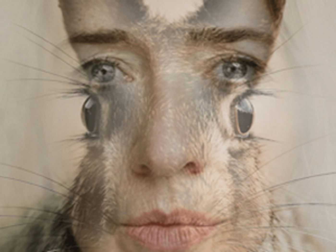 EDINBURGH 2019: Review: SARY, Sweet Novotel EDINBURGH 2019: Review: SARY, Sweet Novotel Image