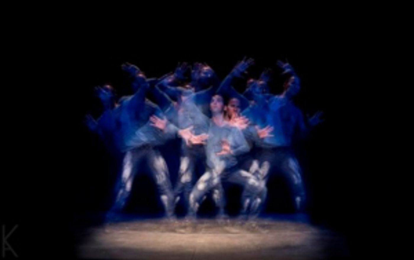 Collingwood Summer Music Festival Reaches Triumphant Finale with CARNIVAL OF THE ANIMALS/THE HOCKEY SWEATER  Image