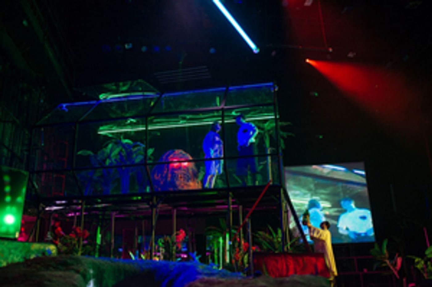 Review: MAGNOLIA at Teatr Wspolczesny Wroclaw, Frog Rain of Emotions Review: MAGNOLIA at Teatr Wspolczesny Wroclaw, Frog Rain of Emotions Image