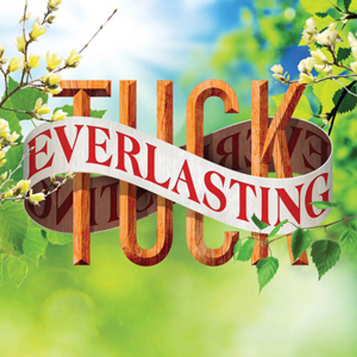 Review: TUCK EVERLASTING at White Plains Performing Arts Center  Image