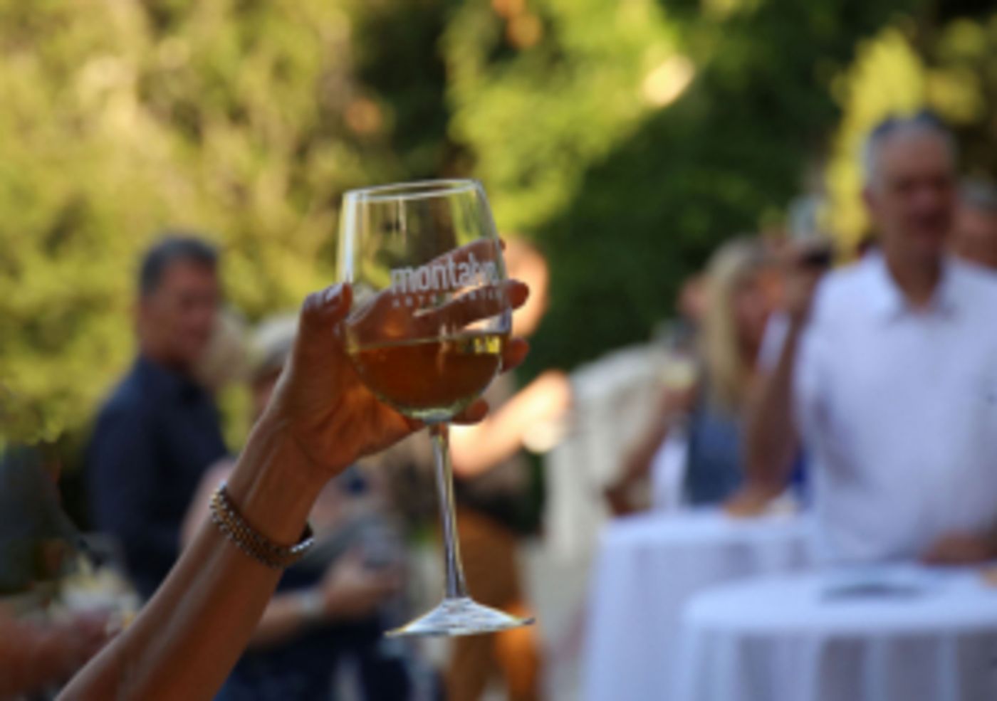 Montalvo Arts Center Hosts Annual 'Food and Wine Classic' Montalvo Arts Center Hosts Annual 'Food and Wine Classic' Image