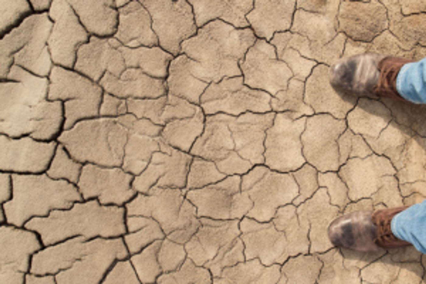 Review: American Classic THE GRAPES OF WRATH Serves As A Reminder Of The Human Spirit And The Inhumanity Of Government And Big Business Review: American Classic THE GRAPES OF WRATH Serves As A Reminder Of The Human Spirit And The Inhumanity Of Government And Big Business Image