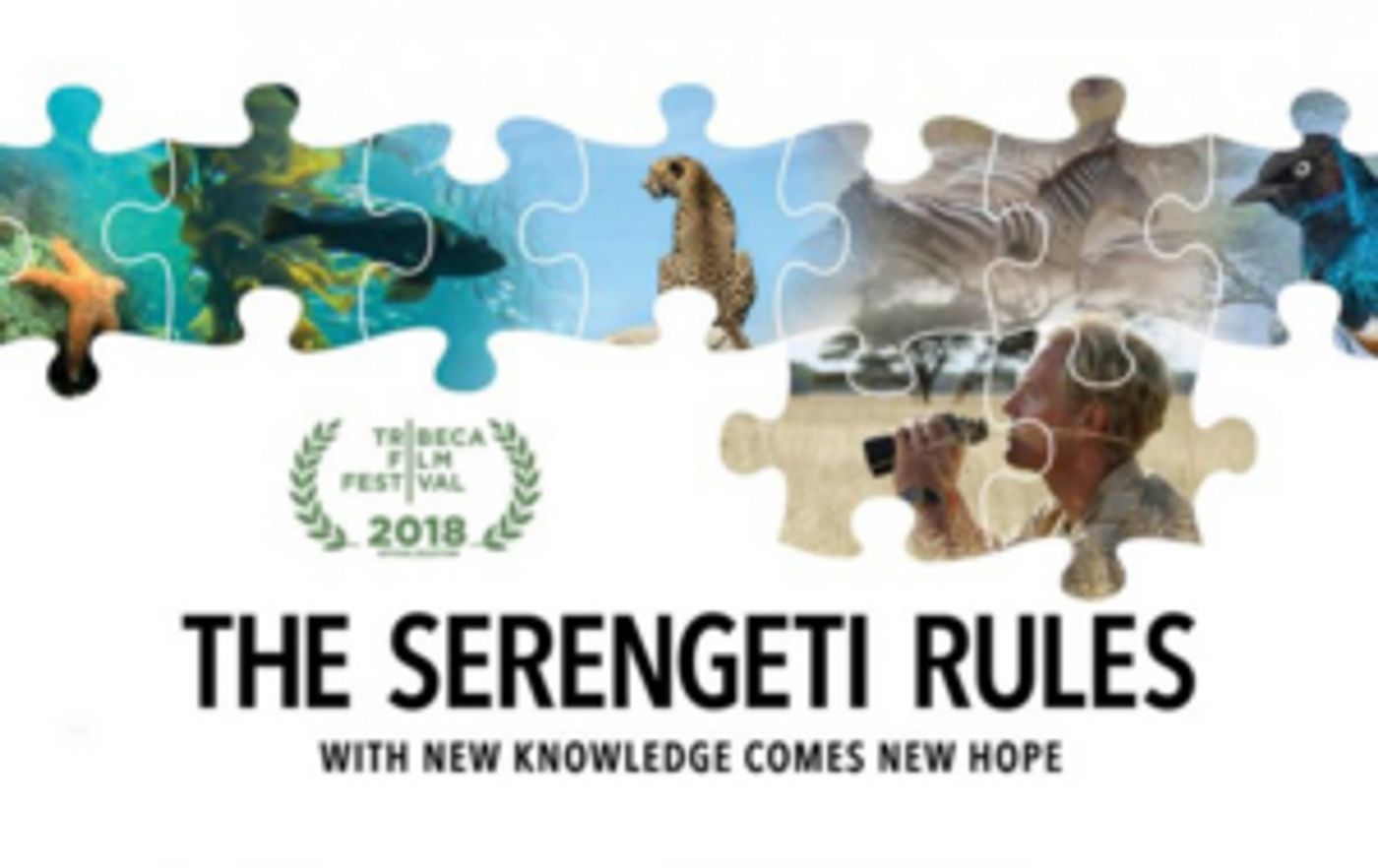 Documentary THE SERENGETI RULES to Premiere on Nature on PBS This October  Image