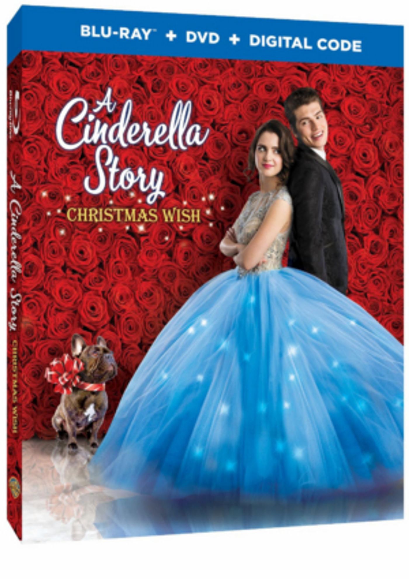 A CINDERELLA STORY: CHRISTMAS WISH Will be Released on Digital and Blu-ray This October A CINDERELLA STORY: CHRISTMAS WISH Will be Released on Digital and Blu-ray This October Image