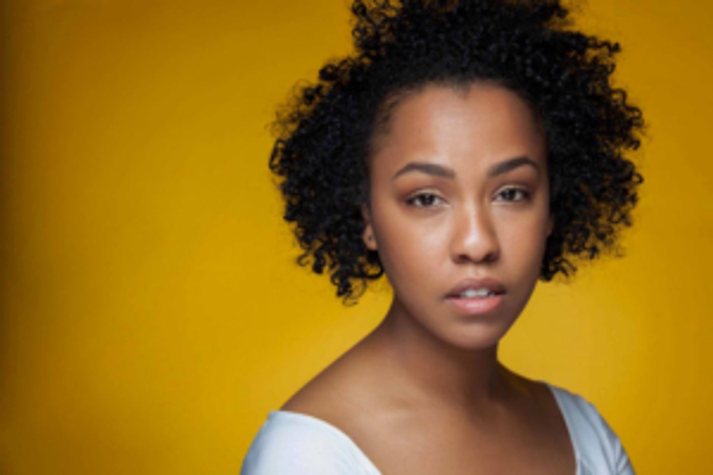 Casting Announced for Atlantic's IMMIGRANT MIXFEST  Image