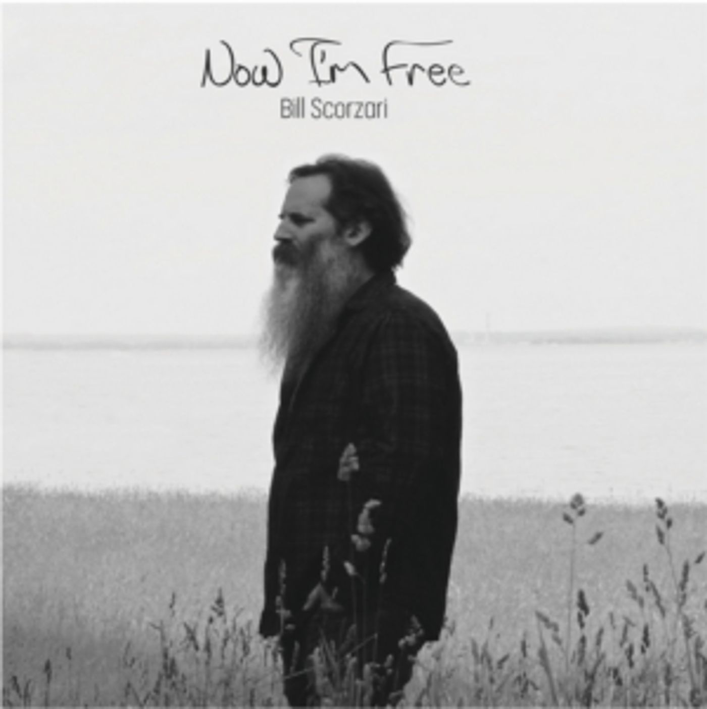 Bill Scorzari Releases Single from New Album  Image