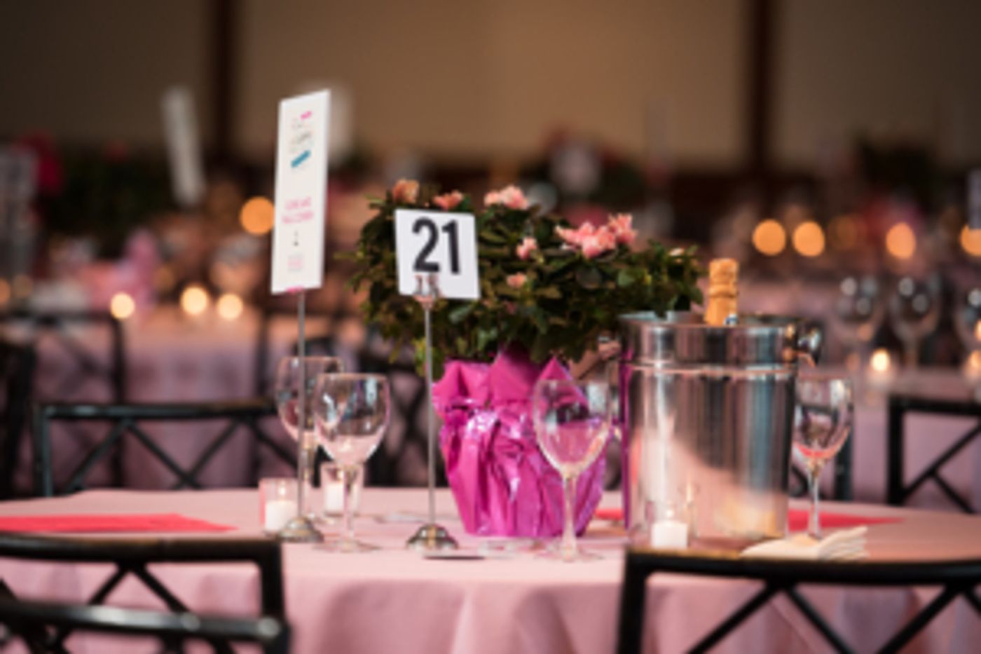 SHARE-A SECOND HELPING OF LIFE on 9/23 at Chelsea Piers Benefits Women Facing Ovarian and Breast Cancer  Image