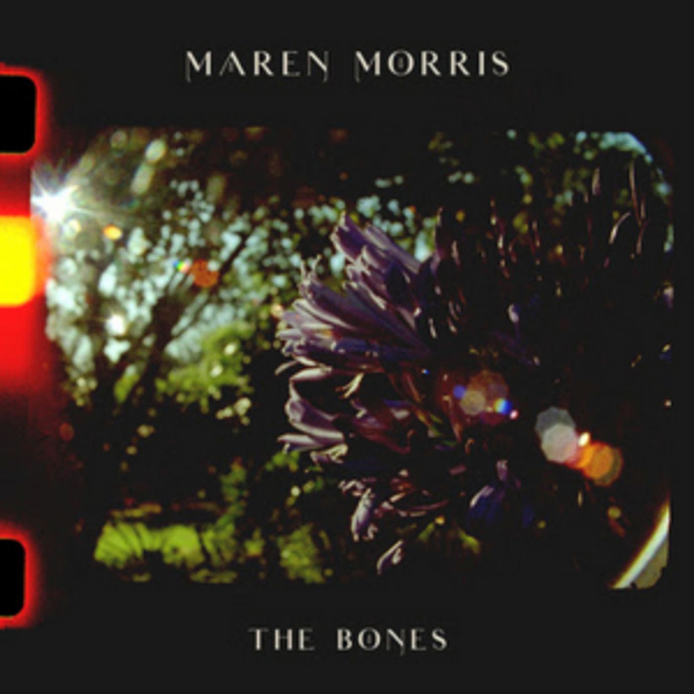 Maren Morris' 'The Bones' Video Premieres Today Maren Morris' 'The Bones' Video Premieres Today Image