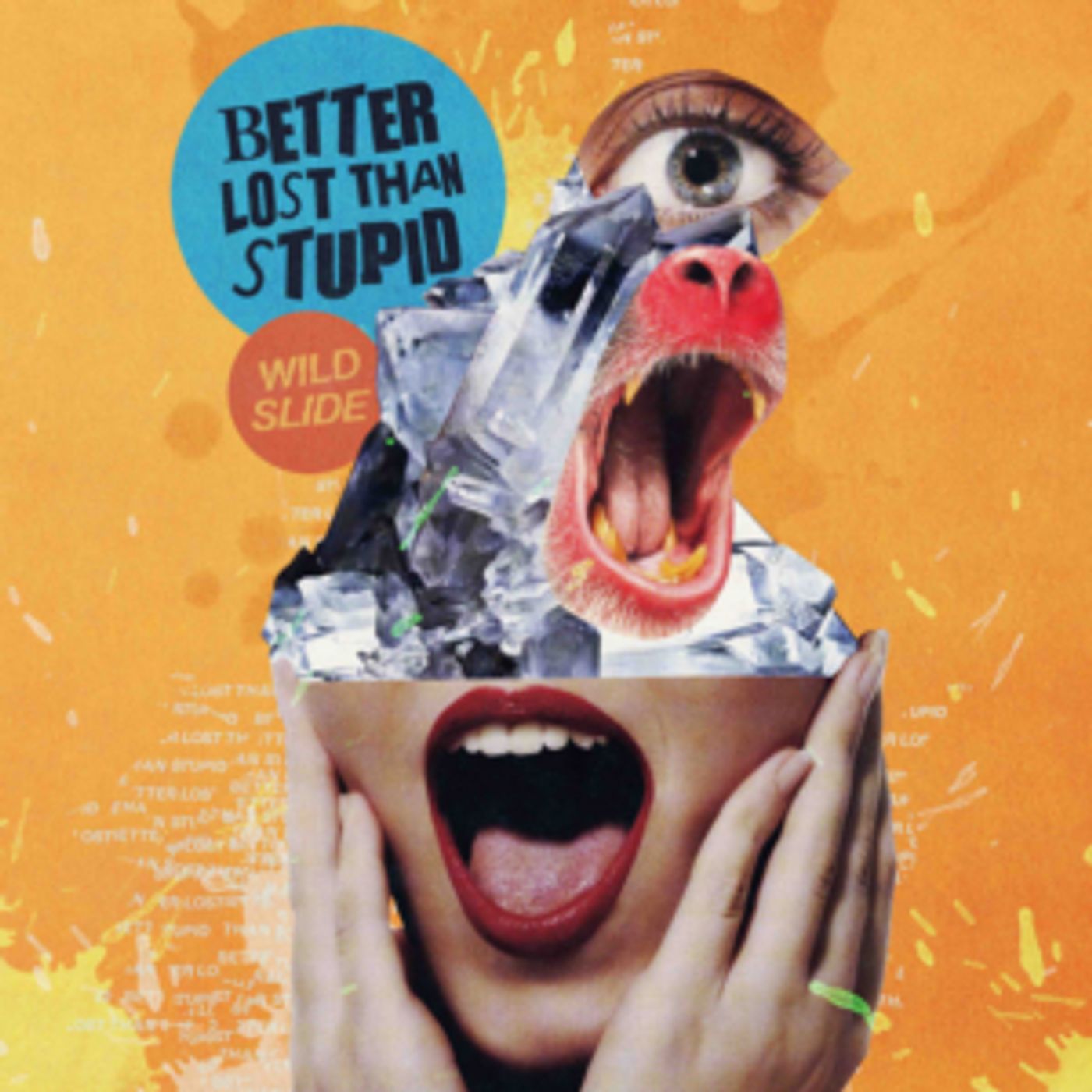 Better Lost Than Stupid Announce Debut Album Better Lost Than Stupid Announce Debut Album Image