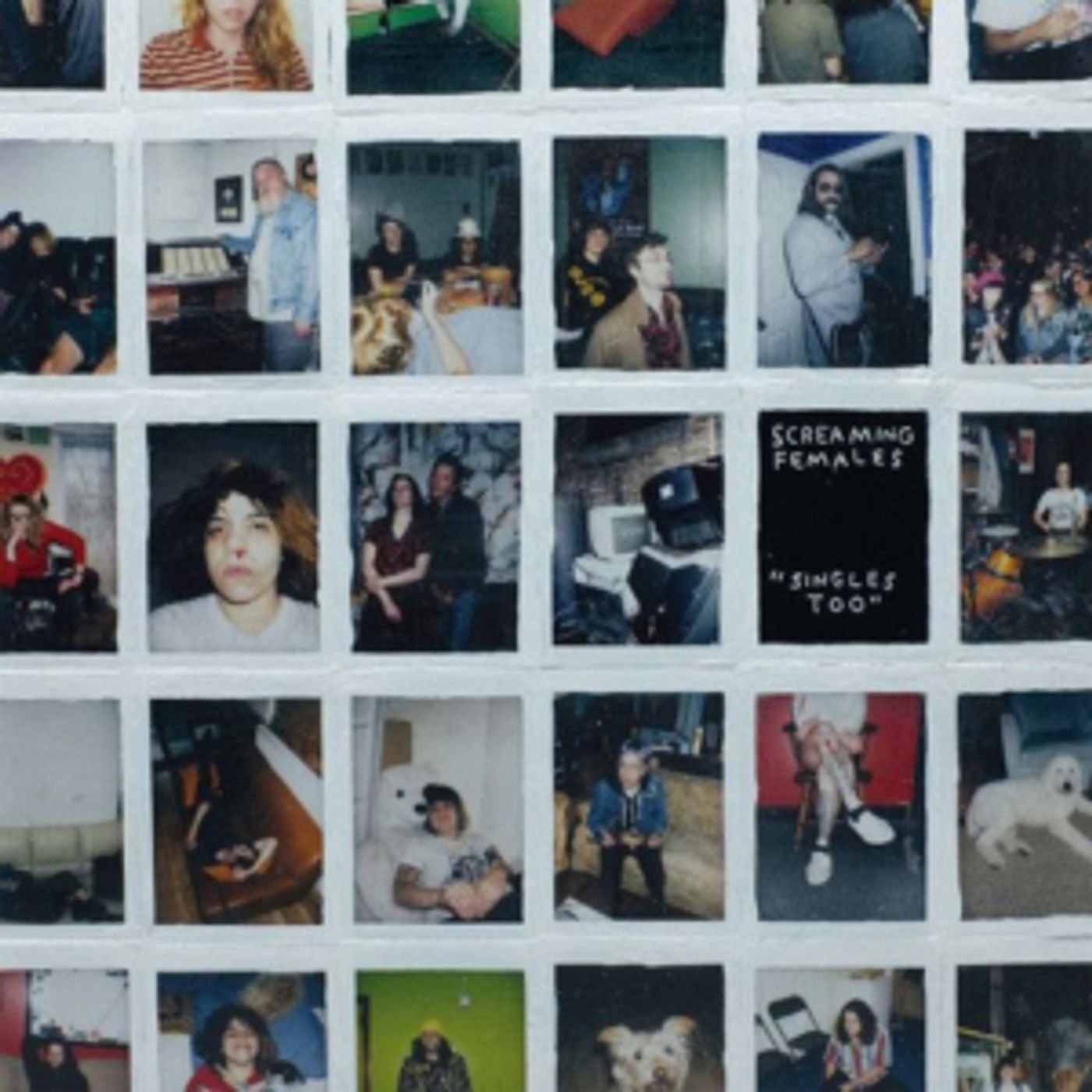 Screaming Females Announce 'Singles Too' Compilation Screaming Females Announce 'Singles Too' Compilation Image