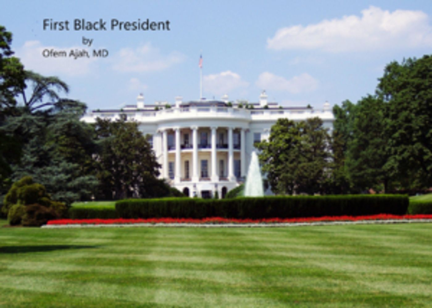 Casting Announced For FIRST BLACK PRESIDENT at RAVE Theater Festival  Image