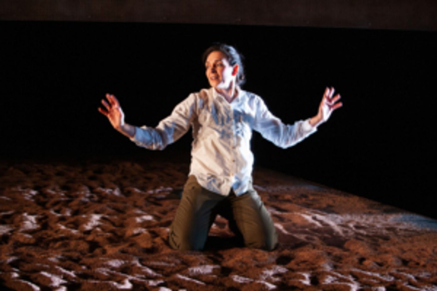 Goodman Theatre Stages DAUGHTER OF A CUBAN REVOLUTIONARY  Image