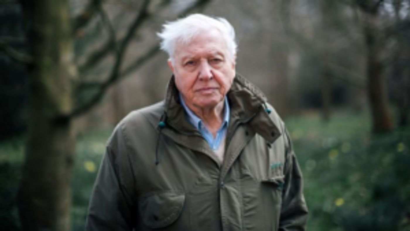 Sir David Attenborough Returns to BBC One with EXTINCTION  Image