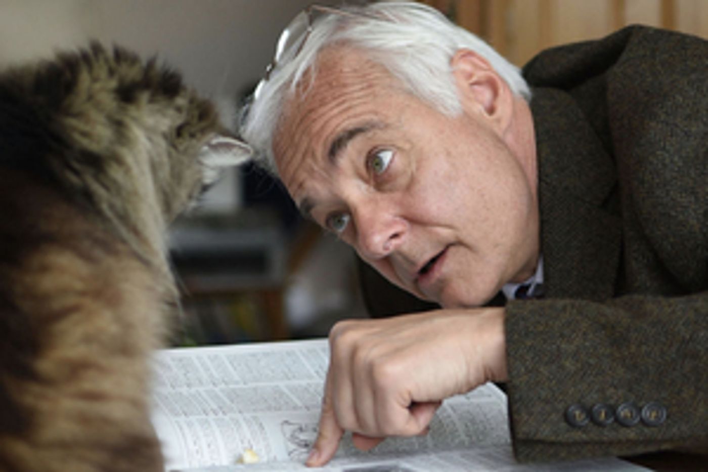 EDINBURGH 2019: Review: THE PROFESSOR, Assembly Rooms  Image