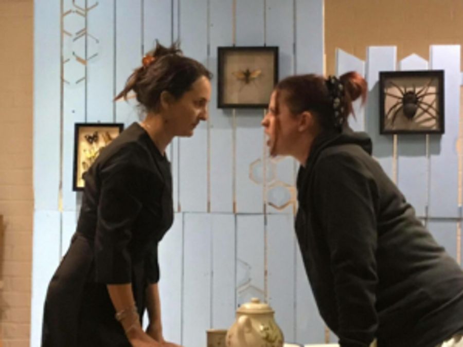 EDINBURGH 2019: Review: THE WASP, Greenside Image
