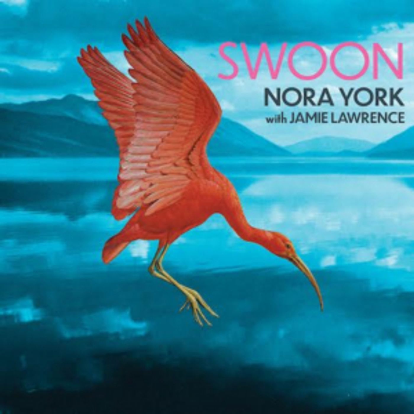 NORA YORK Album 'SWOON' Features Unreleased Music from the Late Vocalist & Songwriter NORA YORK Album 'SWOON' Features Unreleased Music from the Late Vocalist & Songwriter Image