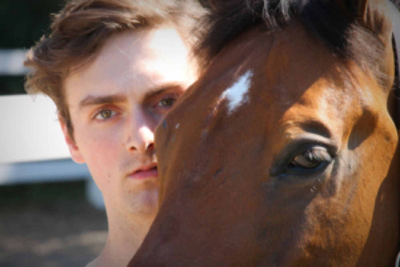 AstonRep Theatre Presents EQUUS Beginning September 27  Image