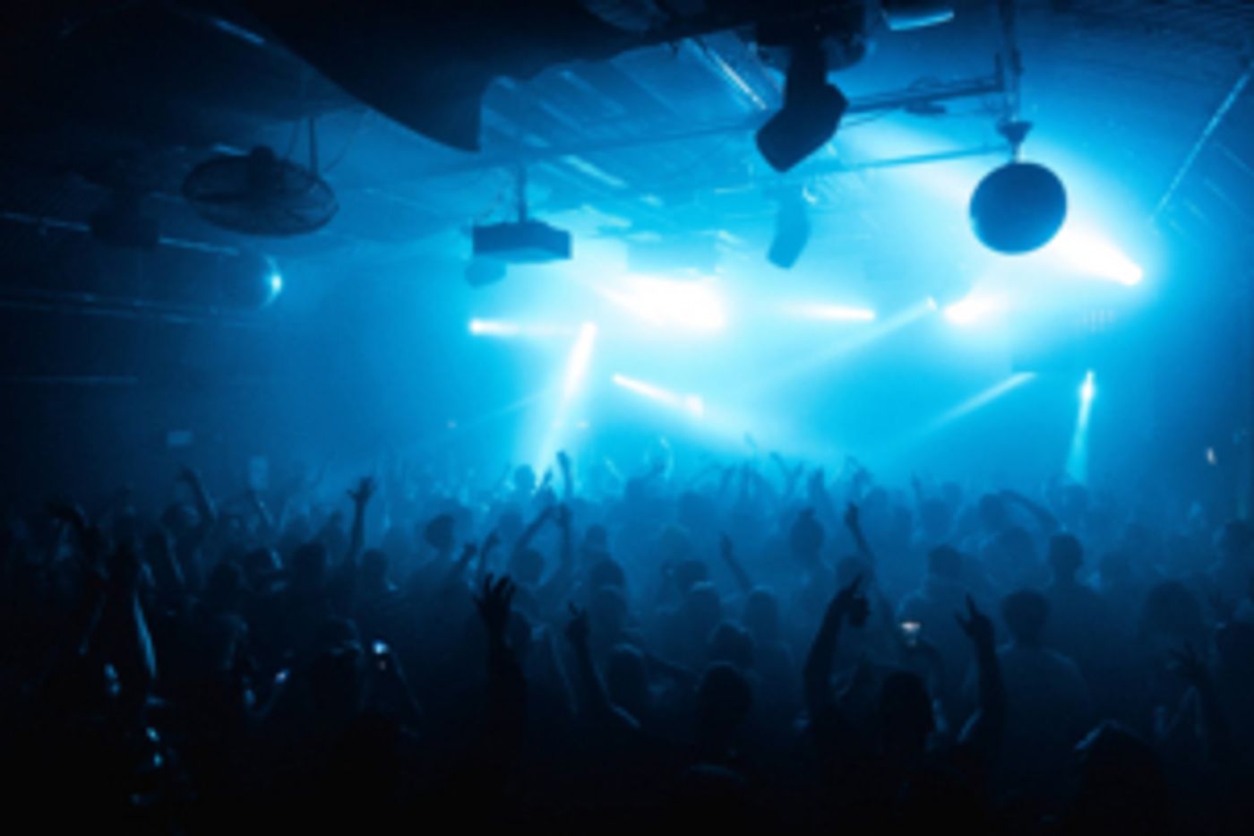 Gorilla Unveils Huge Autumn and Winter Season Schedule With Crazy P and More  Image