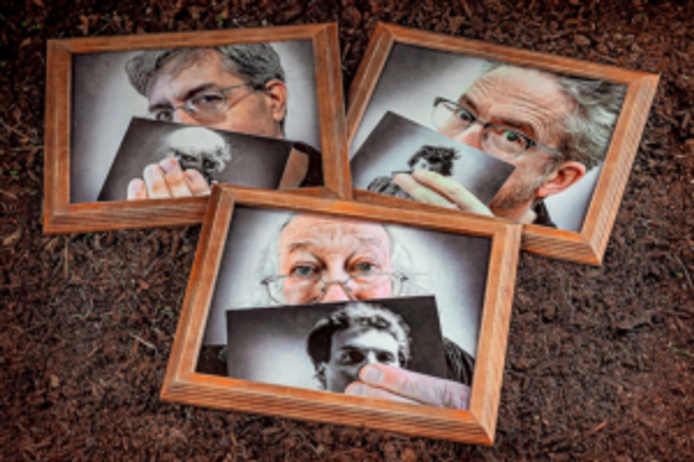 Negativland Share 'Fourth Of July' Track Negativland Share 'Fourth Of July' Track Image