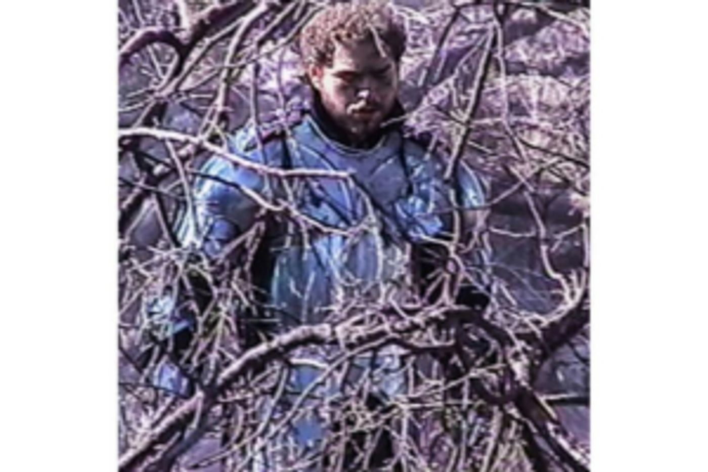 Post Malone Announces Collaborators for 'Hollywood's Bleeding' Album  Image