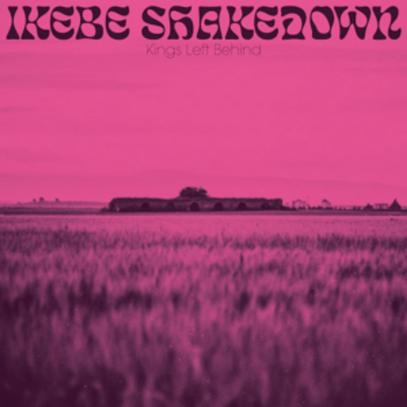 Ikebe Shakedown's New LP 'KINGS LEFT BEHIND' Debuts at #2 on Billboard's Jazz Chart Ikebe Shakedown's New LP 'KINGS LEFT BEHIND' Debuts at #2 on Billboard's Jazz Chart Image