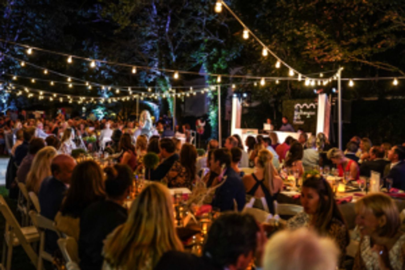 SAC's SummerFest Benefit Event Raises Half Million Dollars SAC's SummerFest Benefit Event Raises Half Million Dollars Image