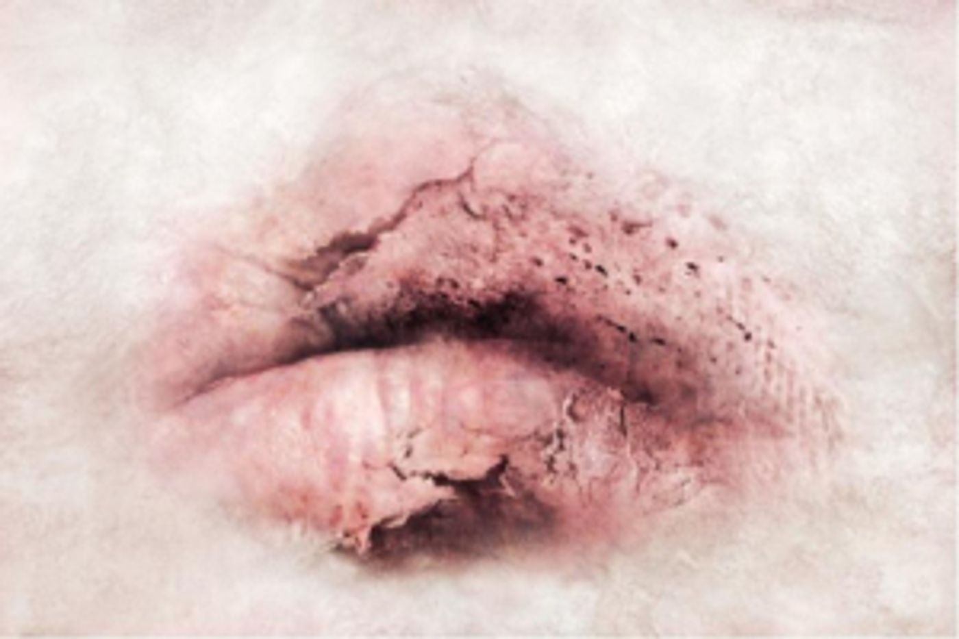 Body Politic Exhibition Opens 9/12 At NYU Kimmel Gallery Body Politic Exhibition Opens 9/12 At NYU Kimmel Gallery Image