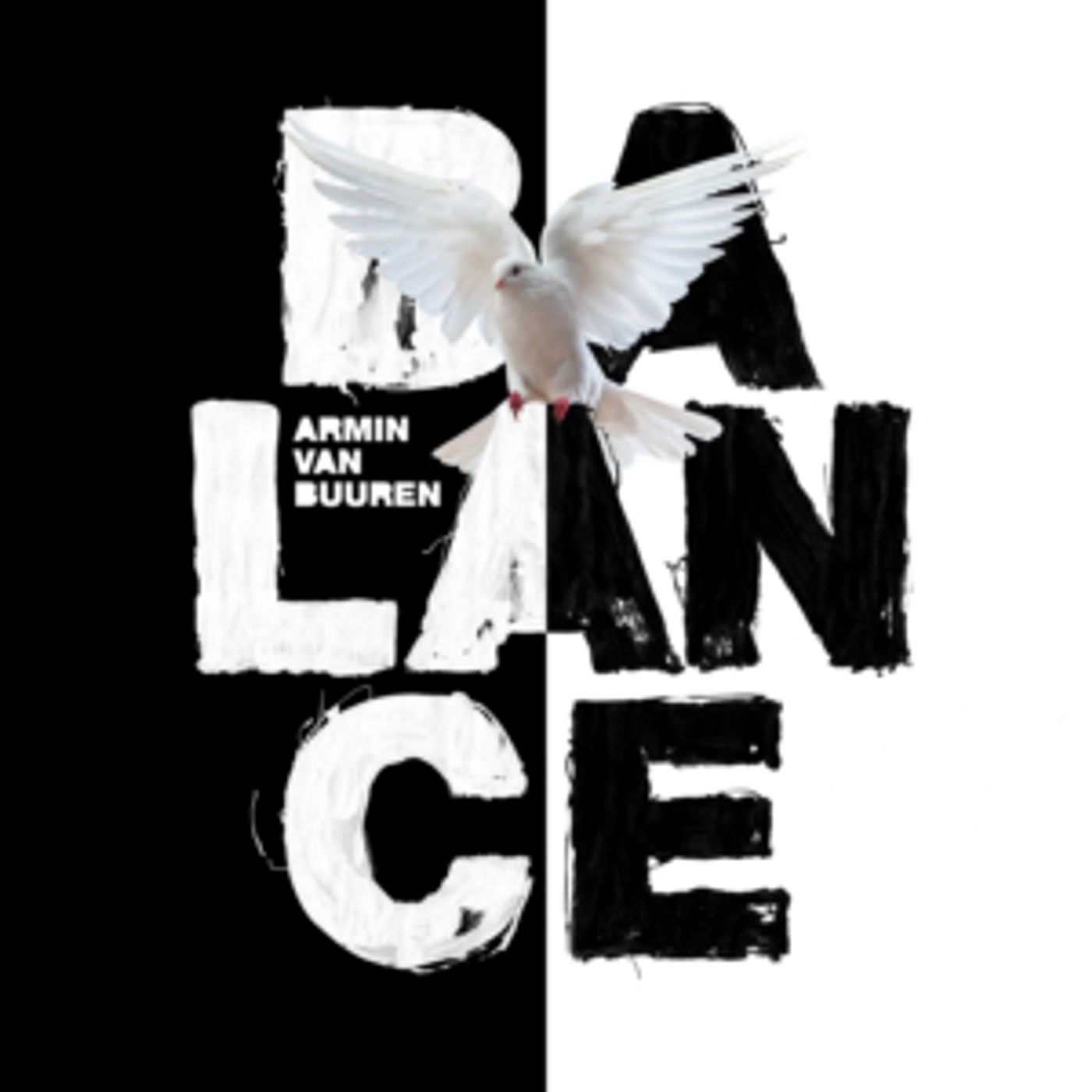 Armin van Buuren Announces New Album BALANCE Armin van Buuren Announces New Album BALANCE Image