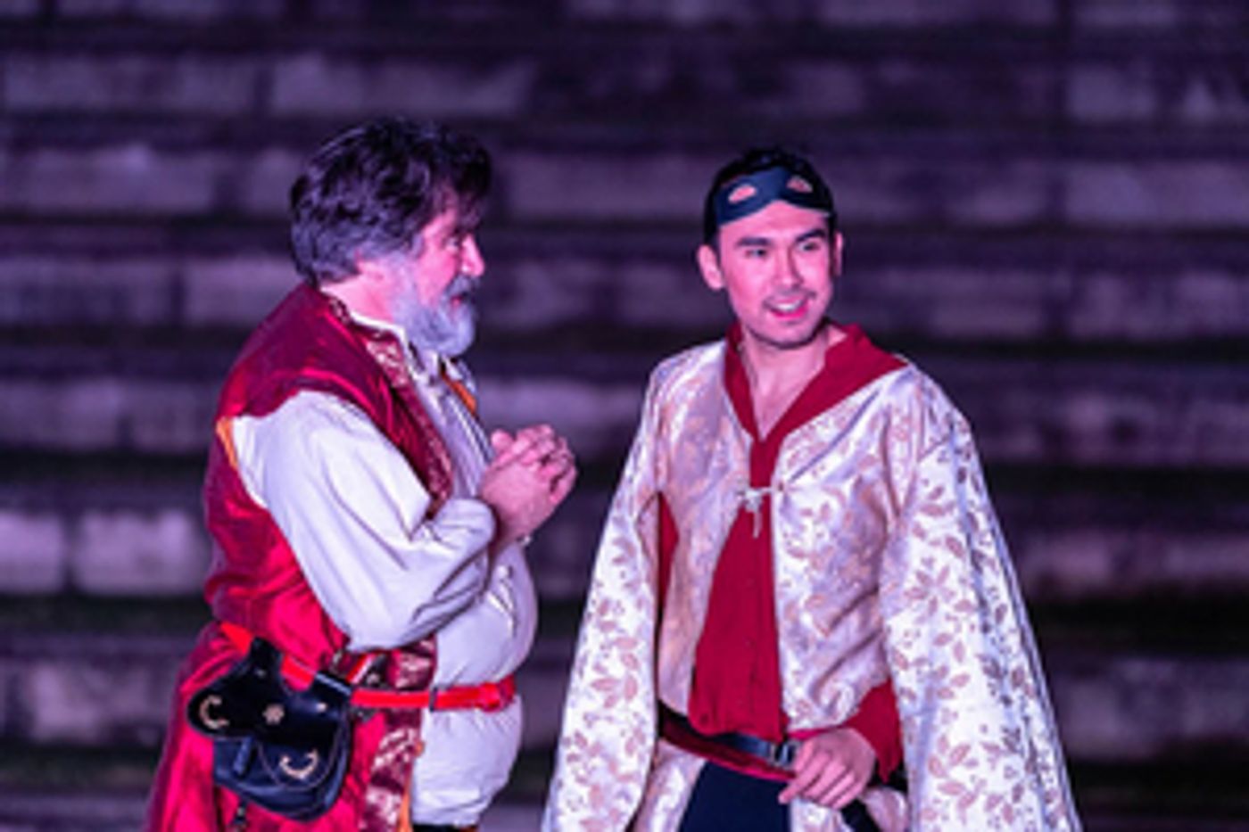 Silvan Ross talks about his role in HENRY IV PART ONE at Queensland Shakespeare Ensemble  Image