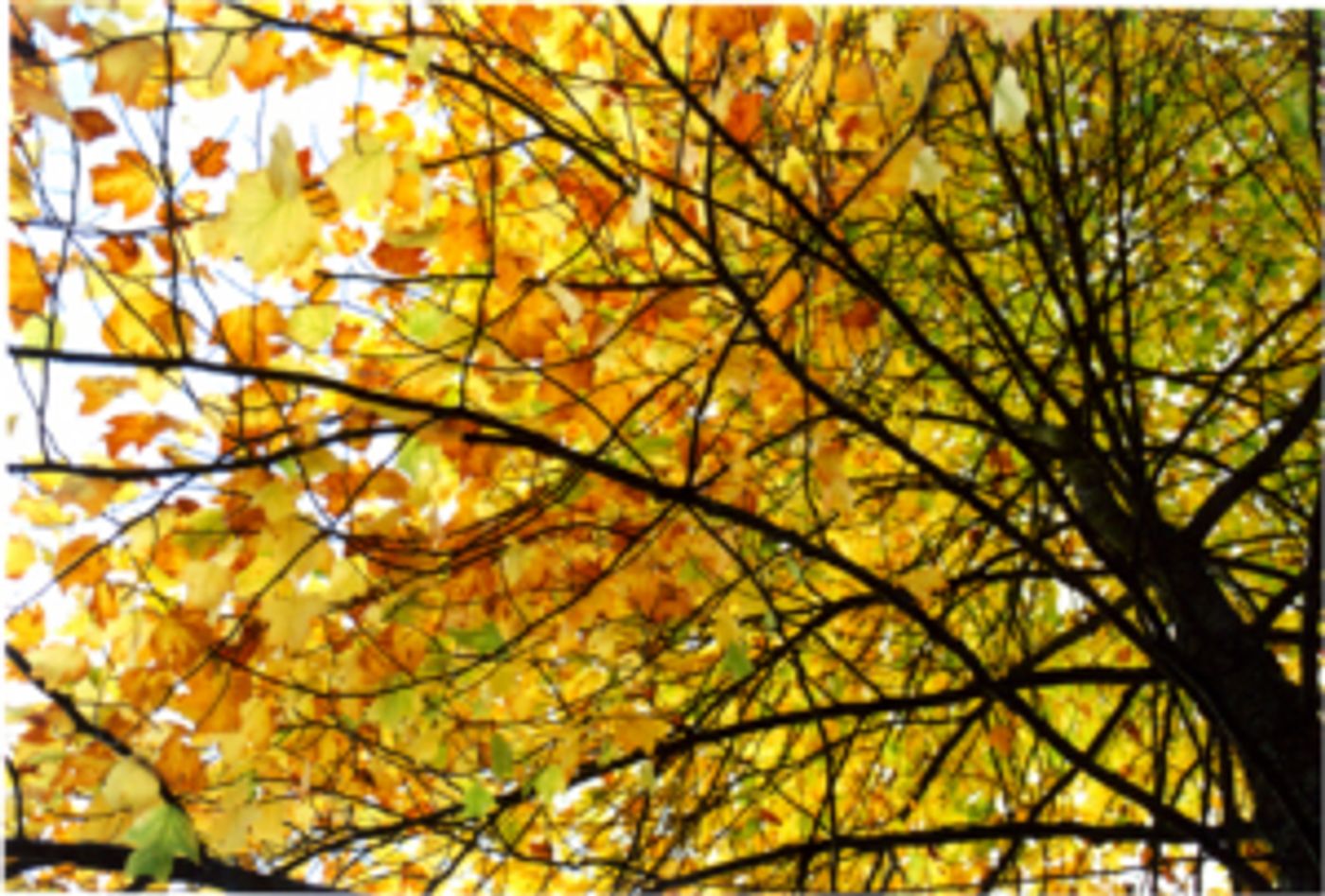 BACK TO SCHOOL Packin' and Snackin'  Image
