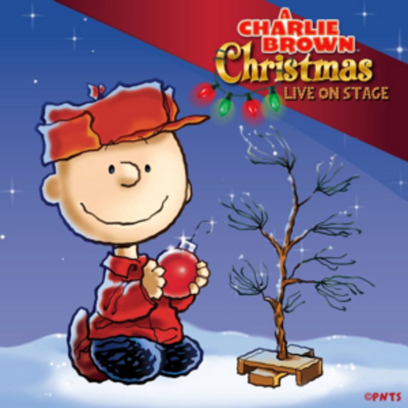 A CHARLIE BROWN CHRISTMAS LIVE ON STAGE Heads to Cities Across North America  Image