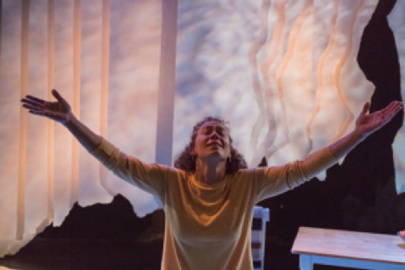 Review: CoHo Productions' MALA Takes an Intimate Look at the Complexities of Caring for Aging Parents Review: CoHo Productions' MALA Takes an Intimate Look at the Complexities of Caring for Aging Parents Image